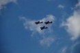 34 T6 Texans in formation